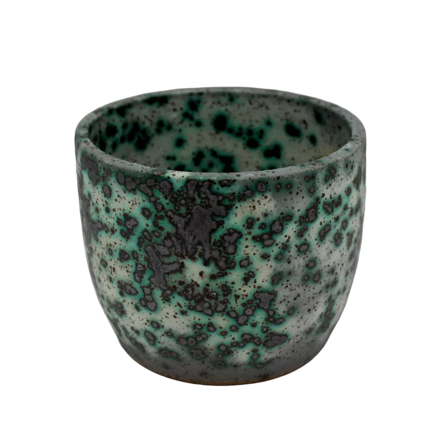 Mold Cup 1