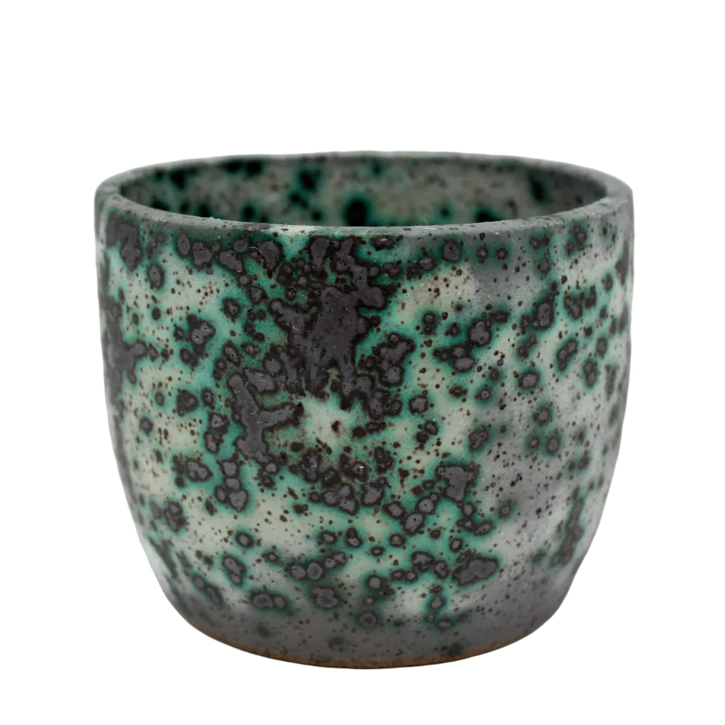 Mold Cup 1