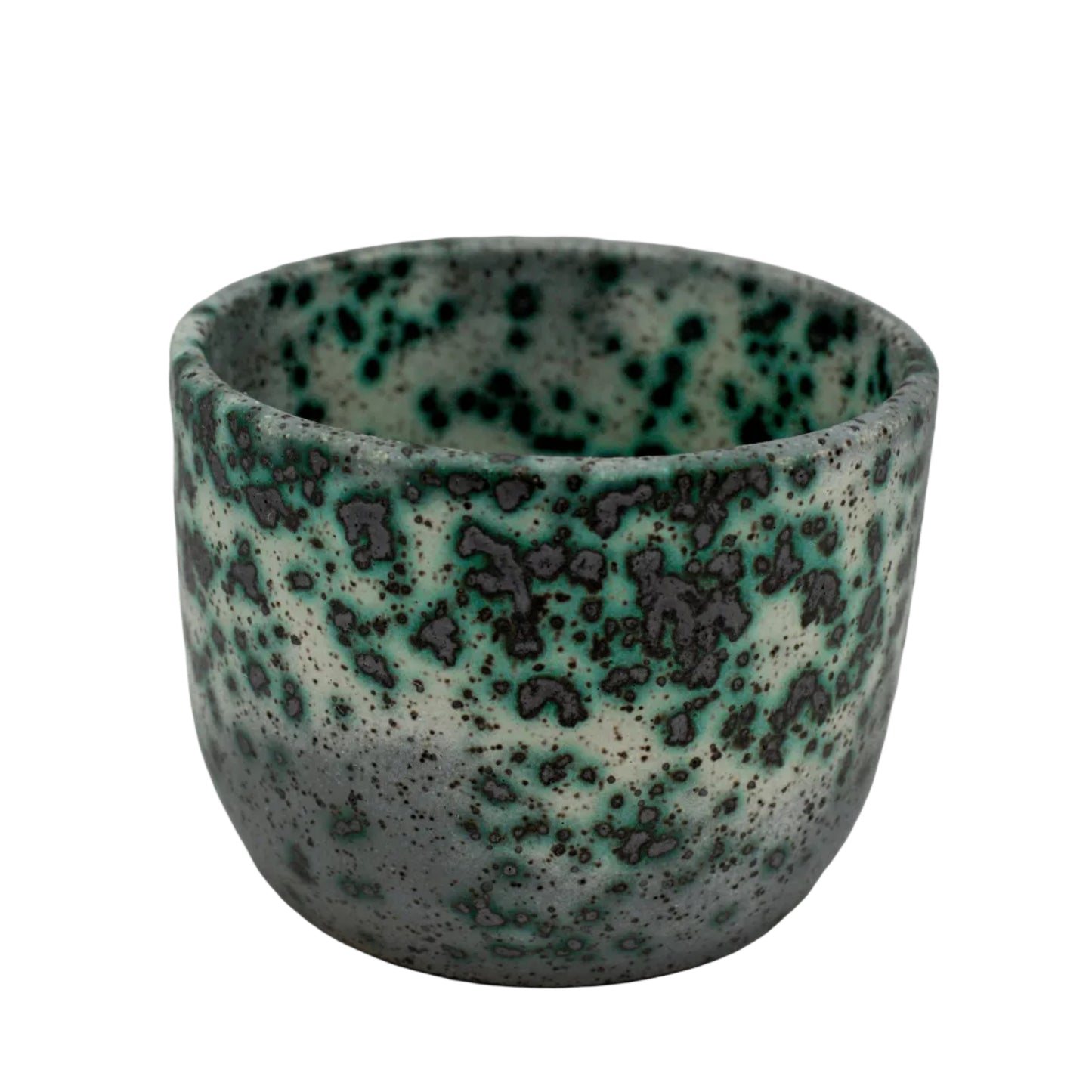 Mold Cup 2