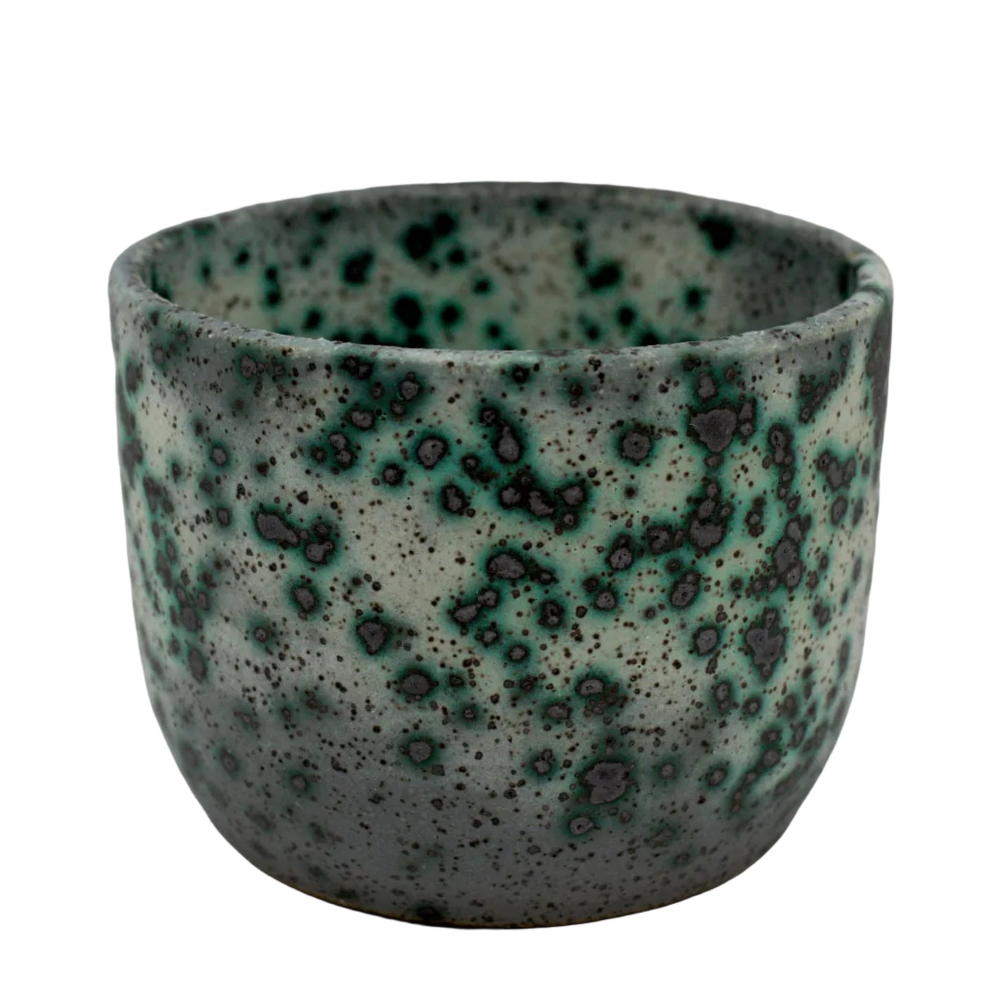 Mold Cup 2