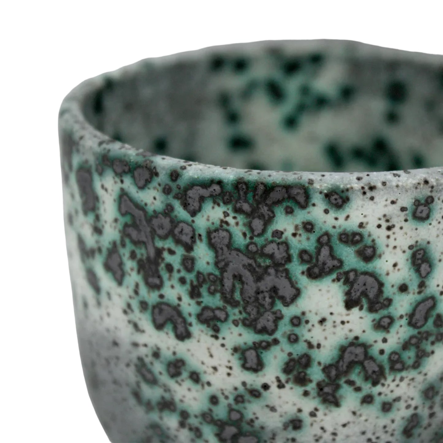 Mold Cup 2
