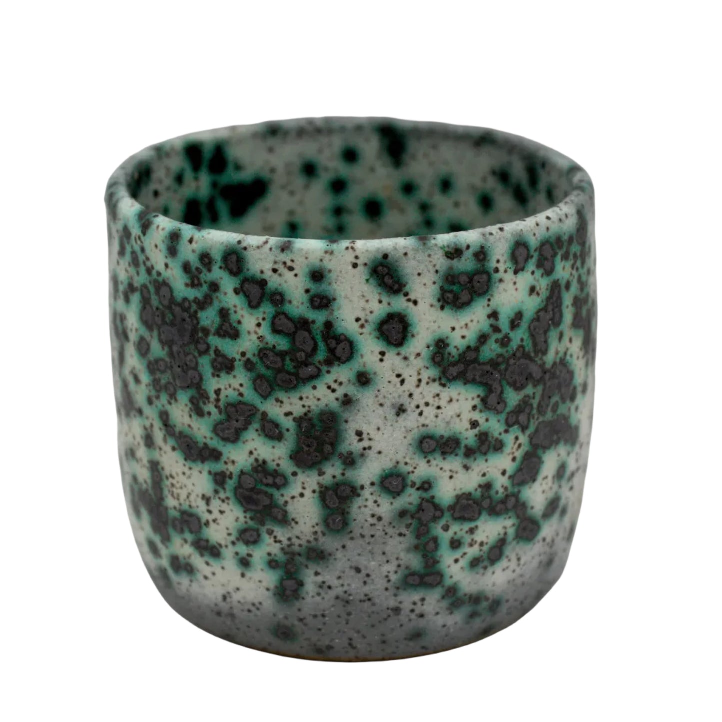 Mold Cup 4