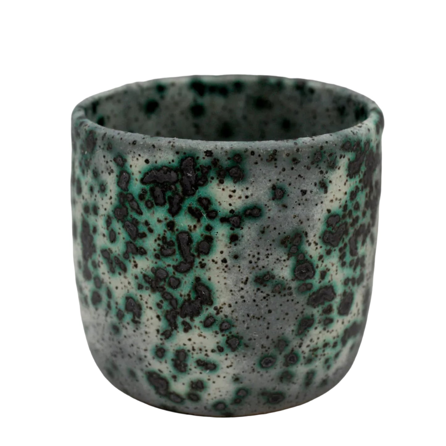 Mold Cup 4