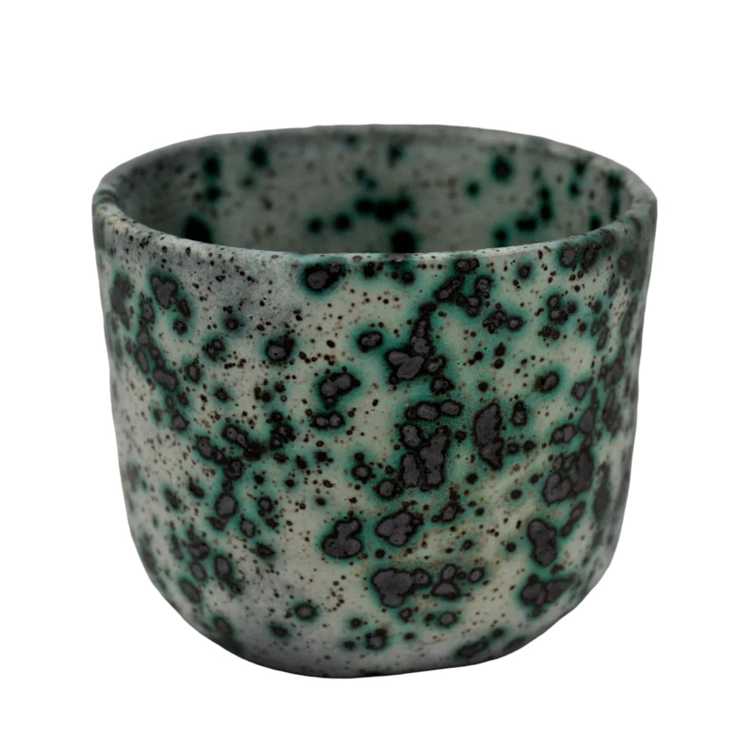 Mold Cup 5