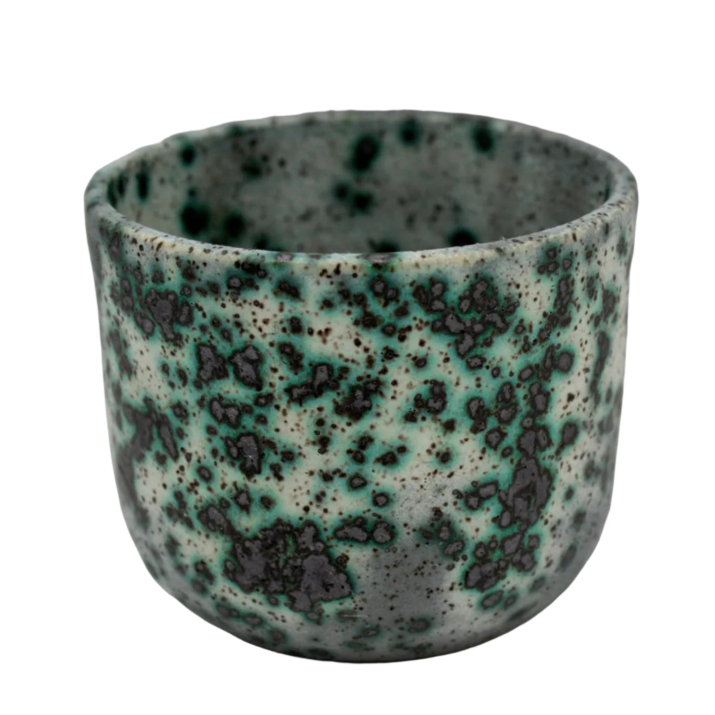 Mold Cup 5