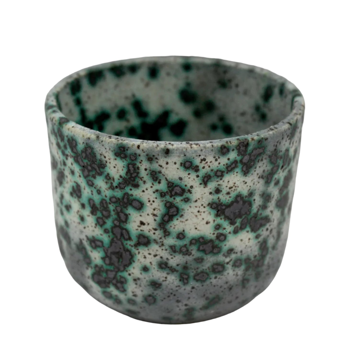 Mold Cup 5