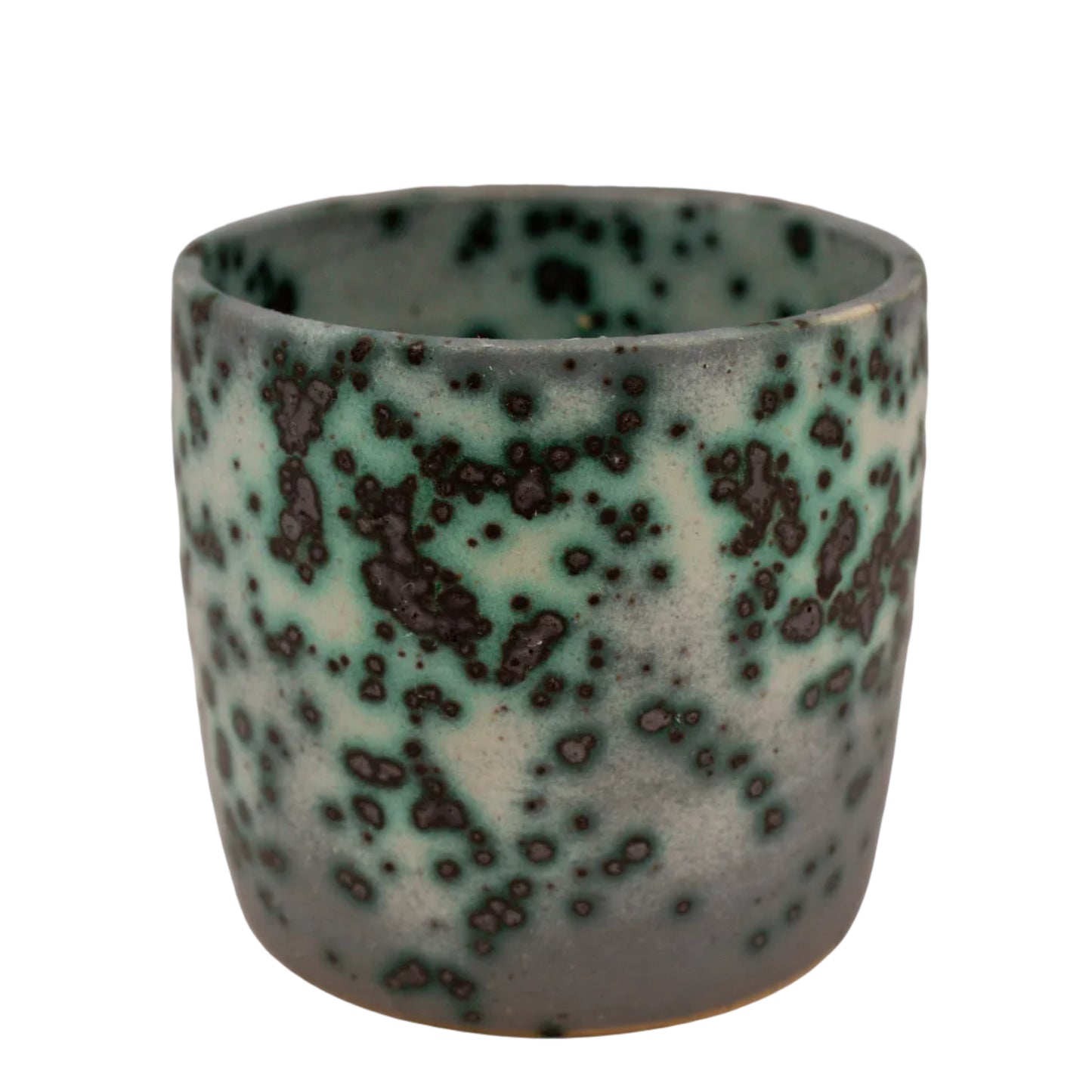 Mold Cup 6