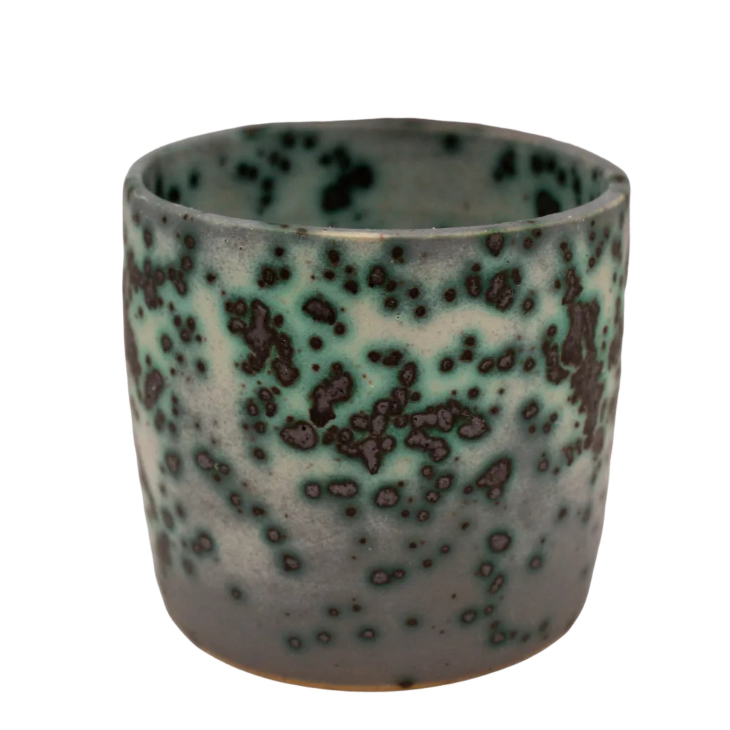 Mold Cup 6