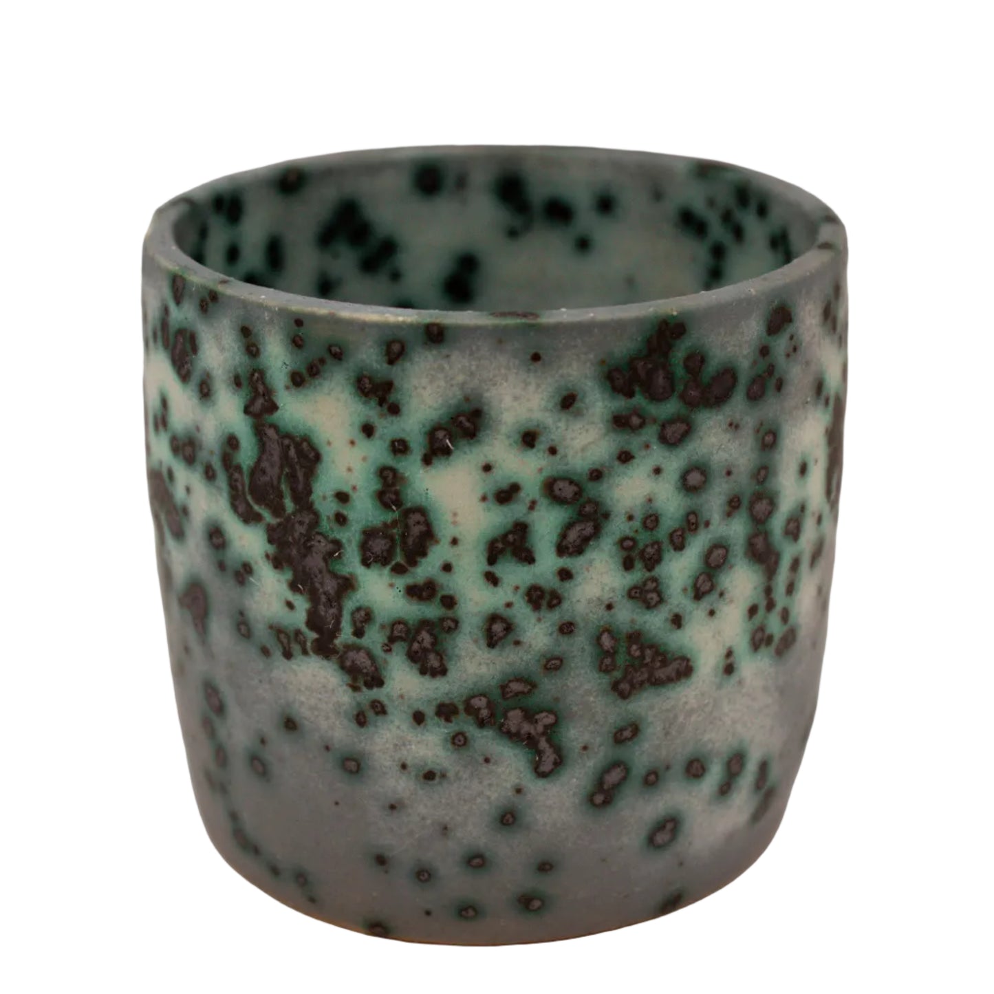Mold Cup 6