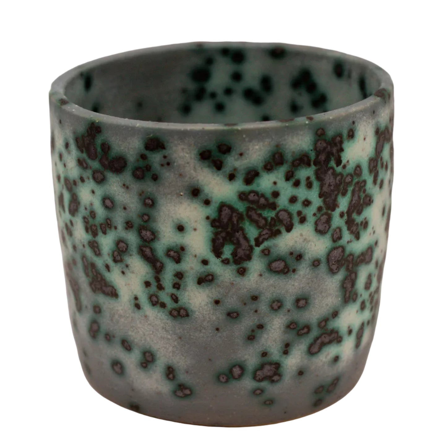 Mold Cup 6