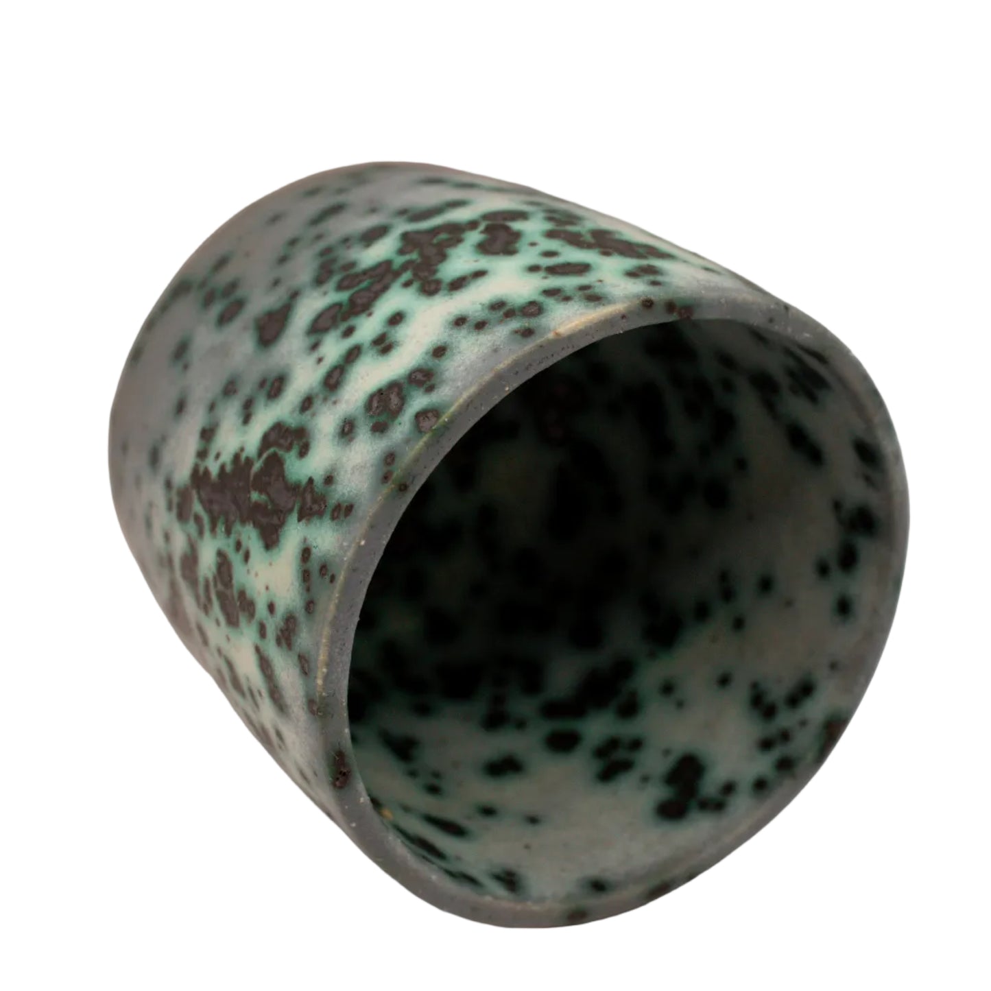 Mold Cup 6