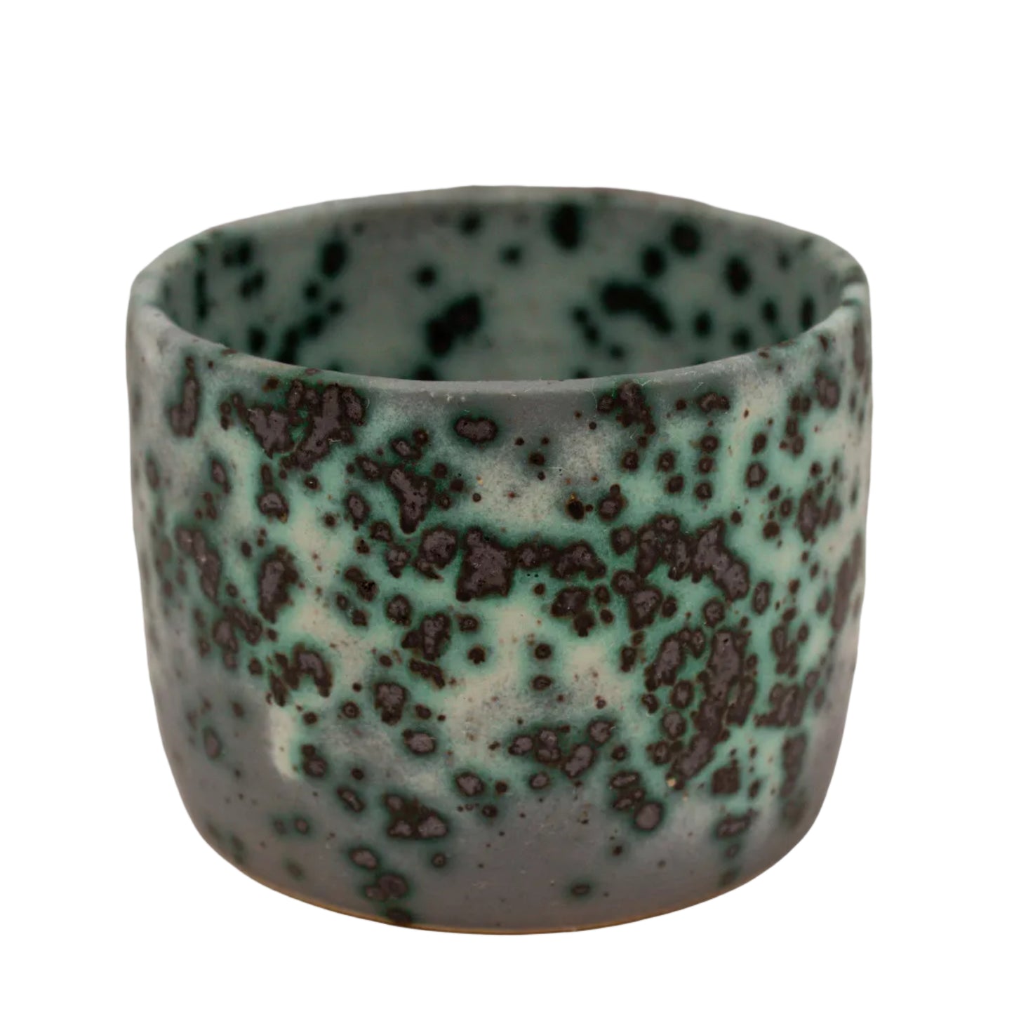Mold Cup 7