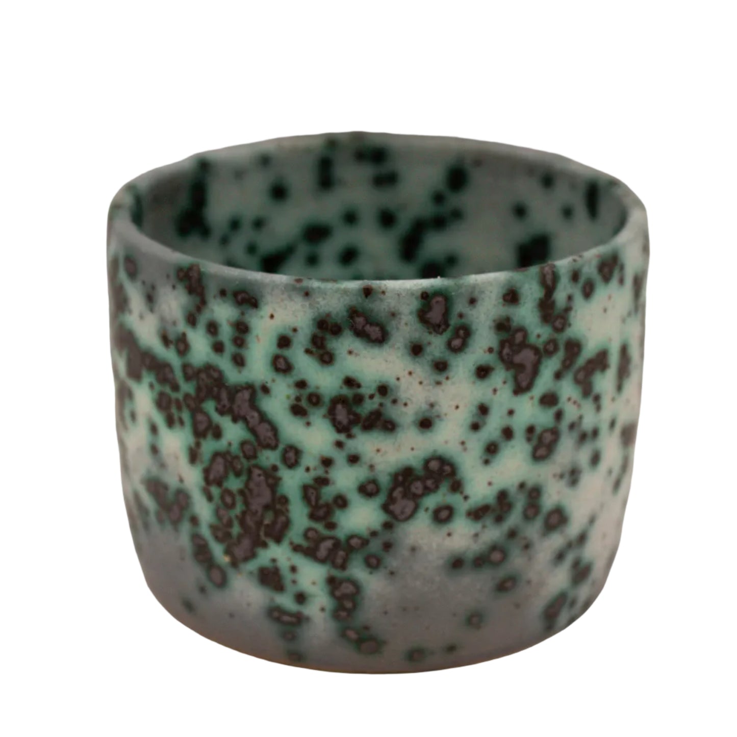 Mold Cup 7