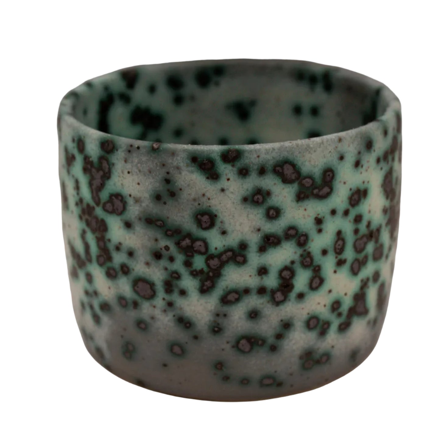 Mold Cup 7