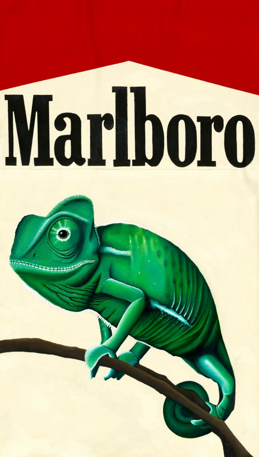 Chameleon Art Print